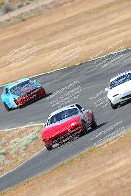 media/May-06-2023-Lucky Dog Racing (Sat) [[8f2256f436]]/Turn 2 10a/